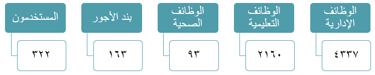 القوى العاملة بالجامعة.png