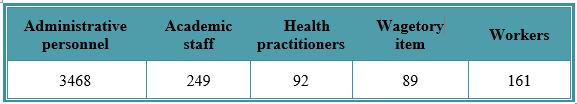University Workforce.png